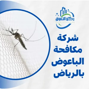 شركة مكافحة الباعوض بالرياض