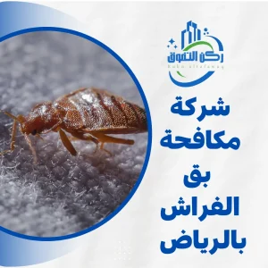 شركة مكافحة بق الفراش بالرياض